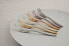 Sambonet Sambonet Taste cake fork set 6 pcs copper