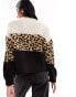 Only colourblock jumper in animal print