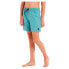 PROTEST Culture 14´´ Swimming Shorts