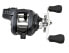 Shimano Tekota A 300 400 Fishing Reels | FREE 2-DAY SHIP