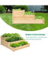 3 Tier Wooden Raised Garden Bed Planter Kit