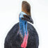 SAFARI LTD Cassowary Figure