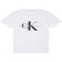 CALVIN KLEIN J30J320935 T-shirt