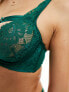 Hunkemoller Iggy strapping detail bra with lace high apex in green