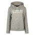 SUPERDRY Vintage Downtown Scripted hoodie