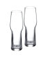 Craft Brew 2 Piece Pilsner Glass Set, 21.5 oz