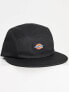 Dickies albertville five panel cap in black