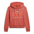 SUPERDRY Puff Print Vl Graphic hoodie