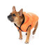 FUZZYARD Aeon Dog Sweatshirt Hoodie