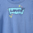 Боди Levi's Kids Doodle Logo 2 шт