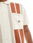 Dickies fieldale striped knitted polo shirt in cream