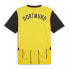 Puma Bvb Home