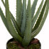 Künstliche Aloe Vera