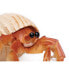 SAFARI LTD Hermit Crab Figure