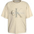 CALVIN KLEIN JEANS Glitter Monogram Boxy short sleeve T-shirt