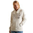 SUPERDRY Script Style WW Foil hoodie