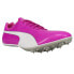 Puma Evospeed Sprint 10 Track Mens Purple Sneakers Athletic Shoes 193452-05