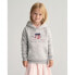 GANT 806784 hoodie