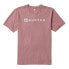 BURTON Horizontal Mountain short sleeve T-shirt