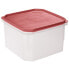 TATAY TOP FLEX 2.9L food container