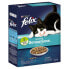 PURINA NESTLE Felix seaside sensations salmon 1 kg cat food