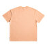 QUIKSILVER The Natural Dye short sleeve T-shirt