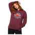 VANS Outdoor Club sweatshirt