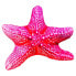 GABY The Starfish Medium Pillow