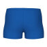 ARENA Team Solid Swimming Shorts