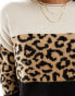 Only colourblock jumper in animal print