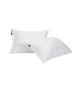 Home Sleep Max Anchor 2 Pack Pillows, Standard