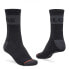 GLOBE Horizons Crew socks 5 pairs