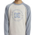 DC Shoes Strpltrglncwb sweatshirt