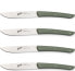 Berkel Berkel steak knife set 4-pcs. Color green