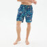 HYDROPONIC 17´ Na Frame Swimming Shorts