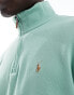 Polo Ralph Lauren icon logo half zip double knit jacquard sweatshirt in light green