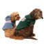 FUZZYARD Treats Dog Sweatshirt Hoodie