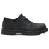 TIMBERLAND Britton Road WP shoes