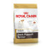 Фураж Royal Canin Jack Russell Adult Для взрослых птицы 1,5 Kg