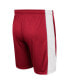 Men's Crimson Alabama Crimson Tide Panel Shorts