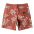 BILLABONG Sundays Swimming Shorts