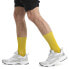 ICEBREAKER Merino Lifestyle Light crew socks