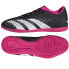 Adidas Predator Accuracy.4 IN M GW7072 shoes