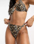 South Beach – Mix & Match – Bikinihose mit hohem Beinausschnitt, Knotendetail und Leopardenmuster