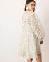 ASOS EDITION floral cutwork embroidered organza mini dress in sage green