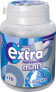 Pastillen EXTRA Professional Mints Classic, 70 St