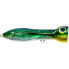 Silver Green Mackerel