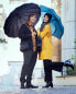 Зонт Blooming Brollies EDSM169 Gentlemen's Powershoot