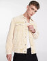 Weekday milton oversized washed cord jacket in cream