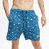 HYDROPONIC 16´ Dragon Ball Z Kintoun Swimming Shorts